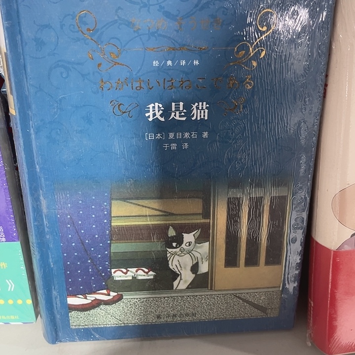 我是猫新书推荐全新