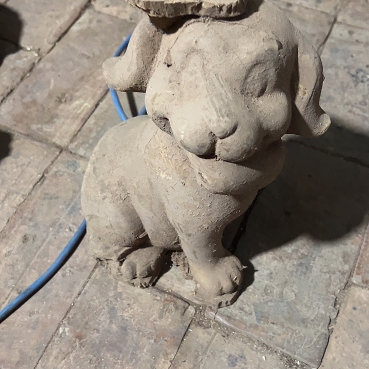 香榧木88888888888888