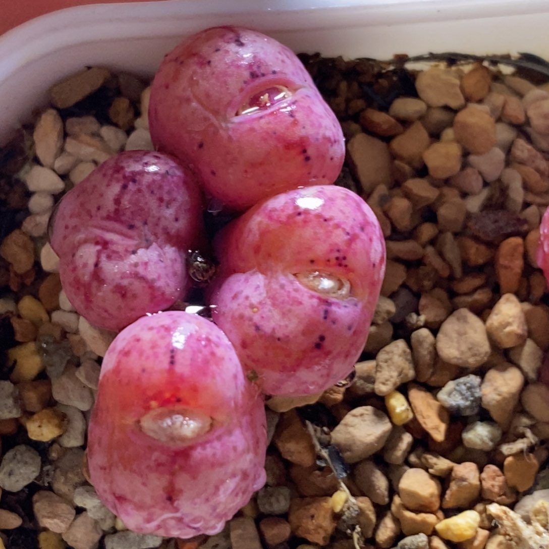 好看好看好看好看