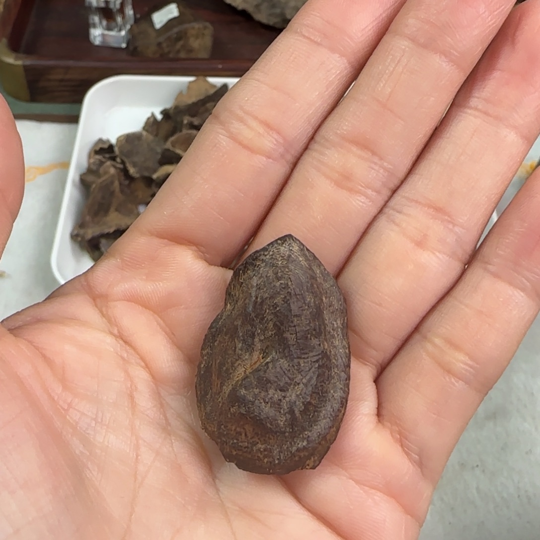 沉香沉香碎屑海南沉水3g