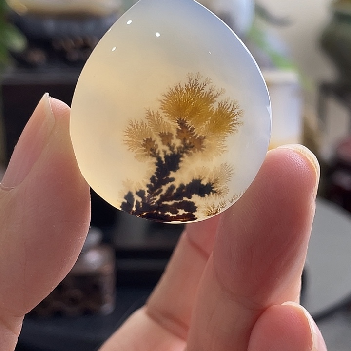 玛瑙/玉髓未镶嵌珠宝半成品