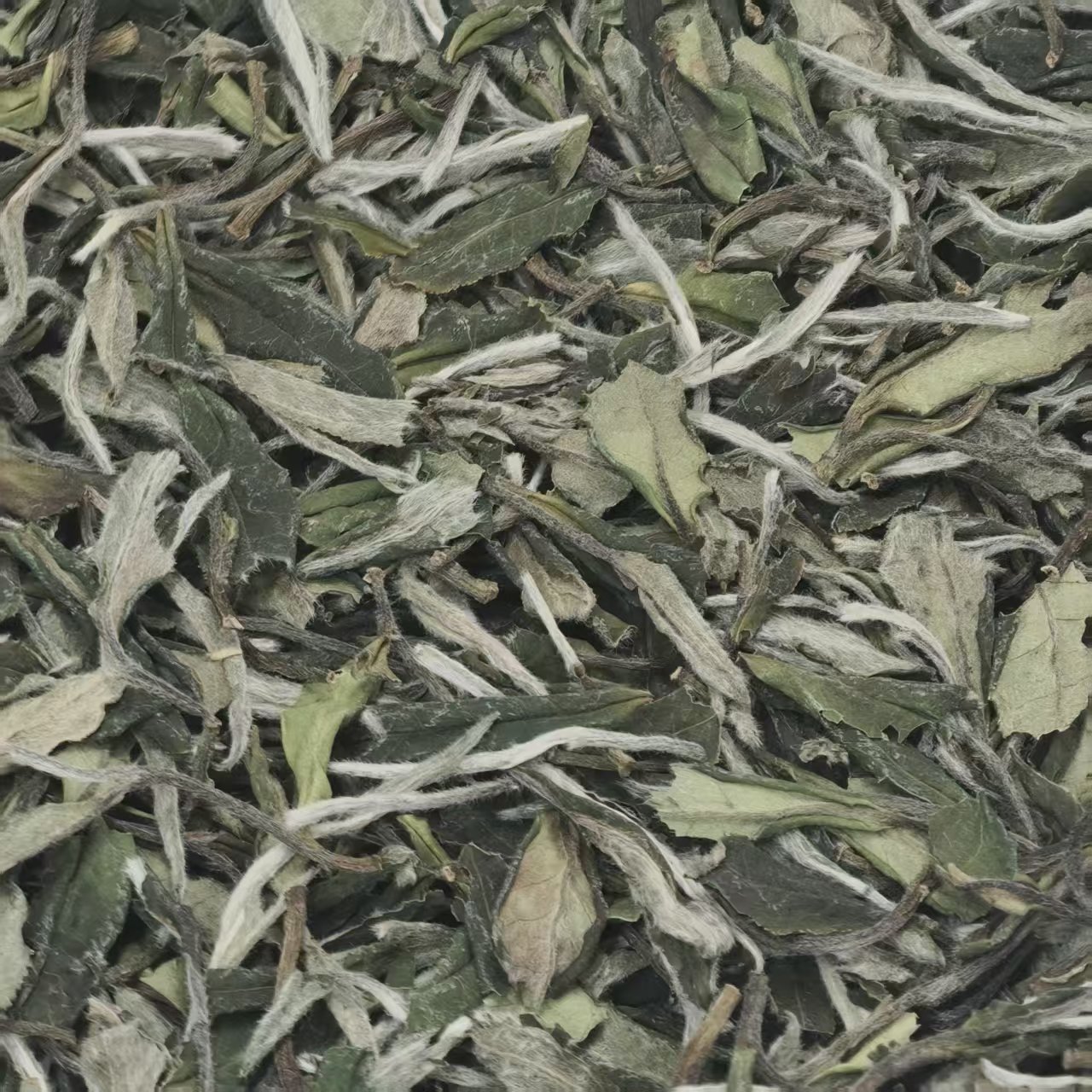 【江缘】福鼎白茶·2022·白牡丹·方家山·荒野高山·毫香·可可香