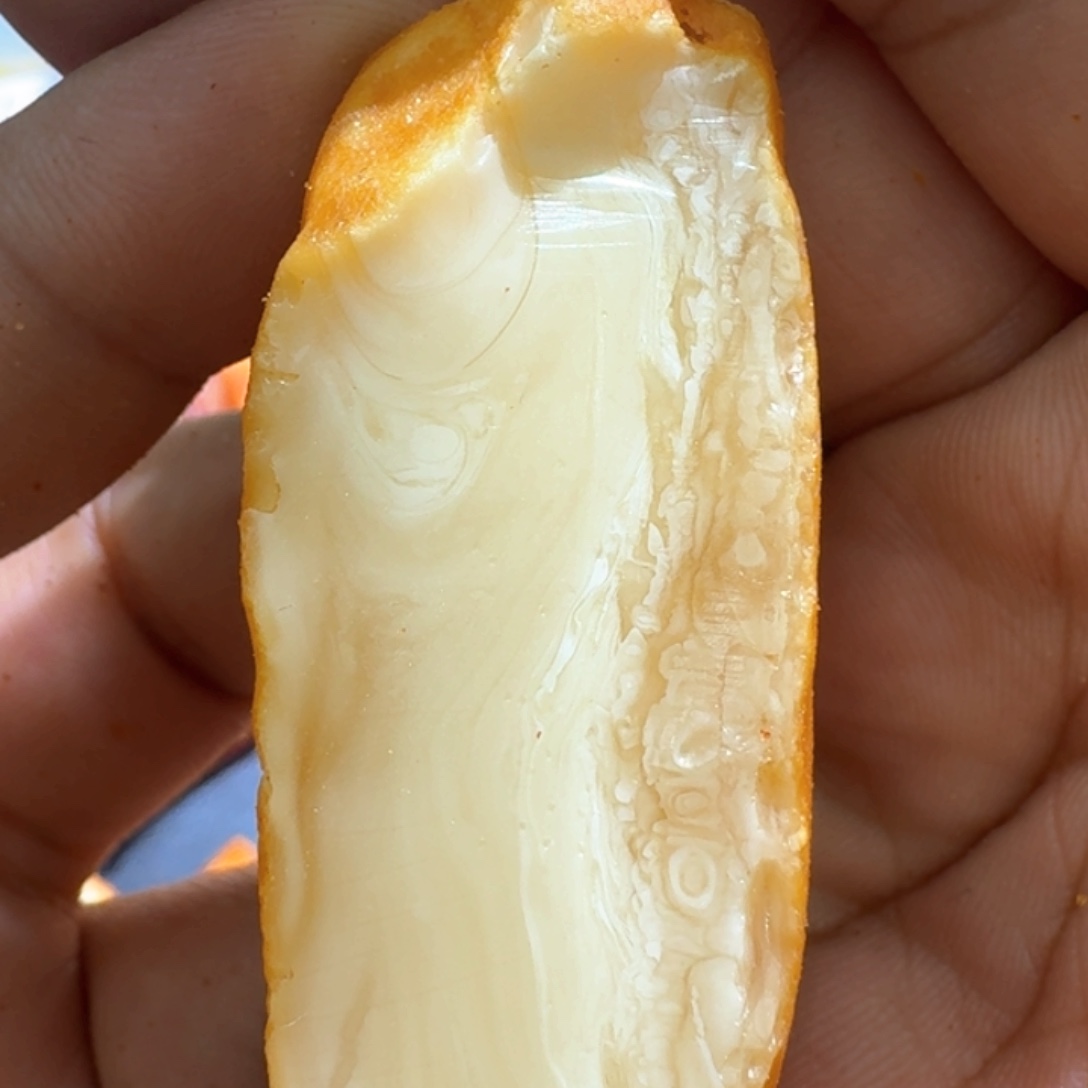 定制琥珀未镶嵌专拍