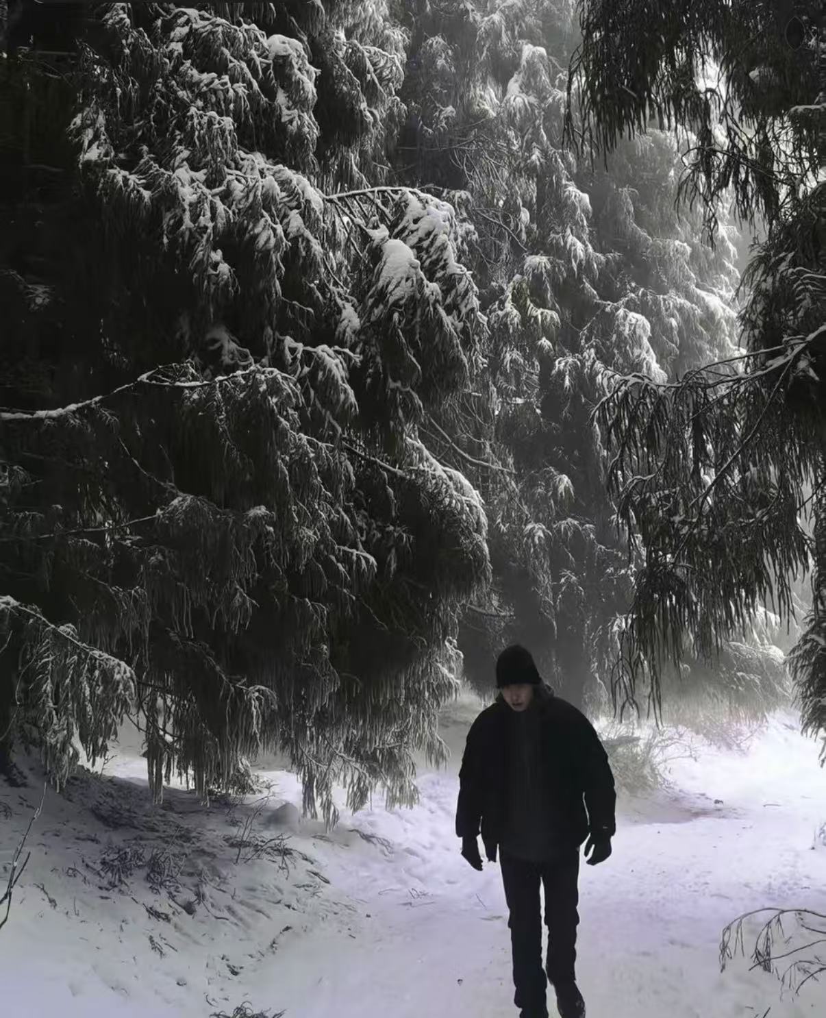 飞燃SV休闲舒适户外男女鹅绒冲锋羽绒服【清晨】