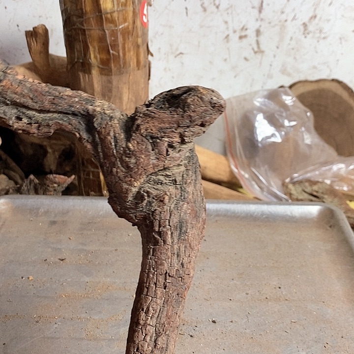 黄花梨/降香黄檀高*东