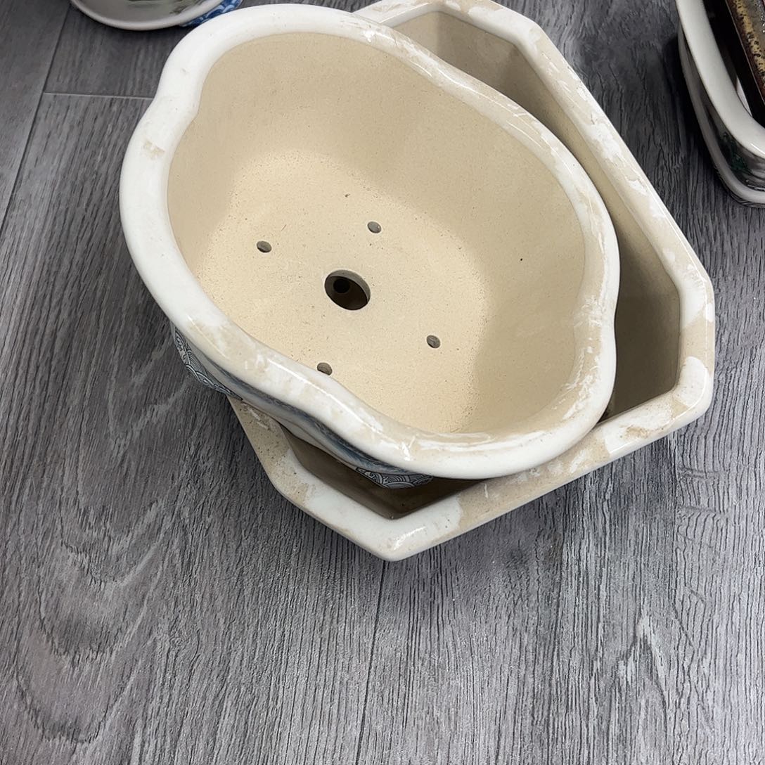 *****花盆紫砂2个龙鱼处理介意勿拍