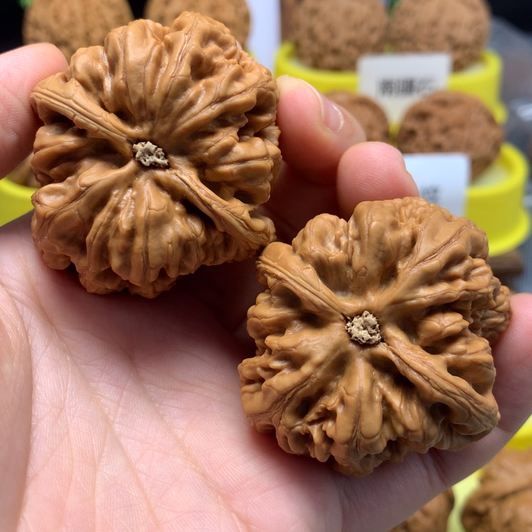 文玩核桃把件维**羊44粗筋