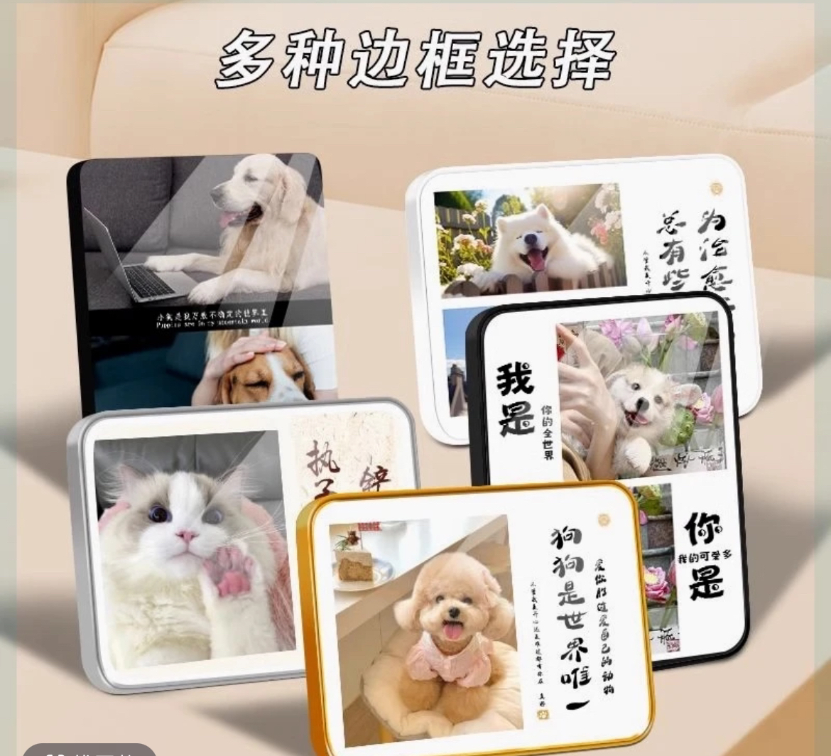 泰迪比熊博美定制相册手工定制