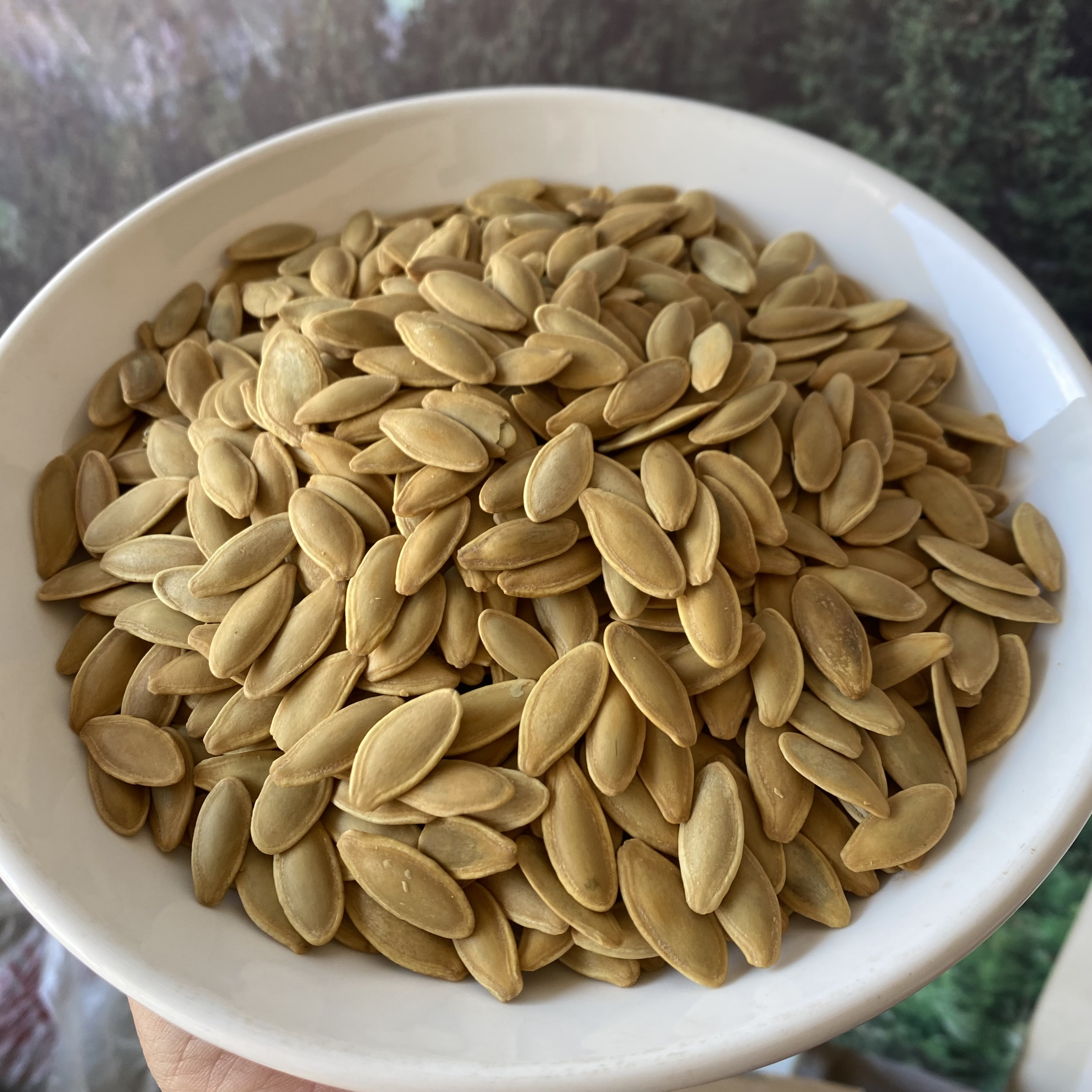 云南高山南瓜子卤味