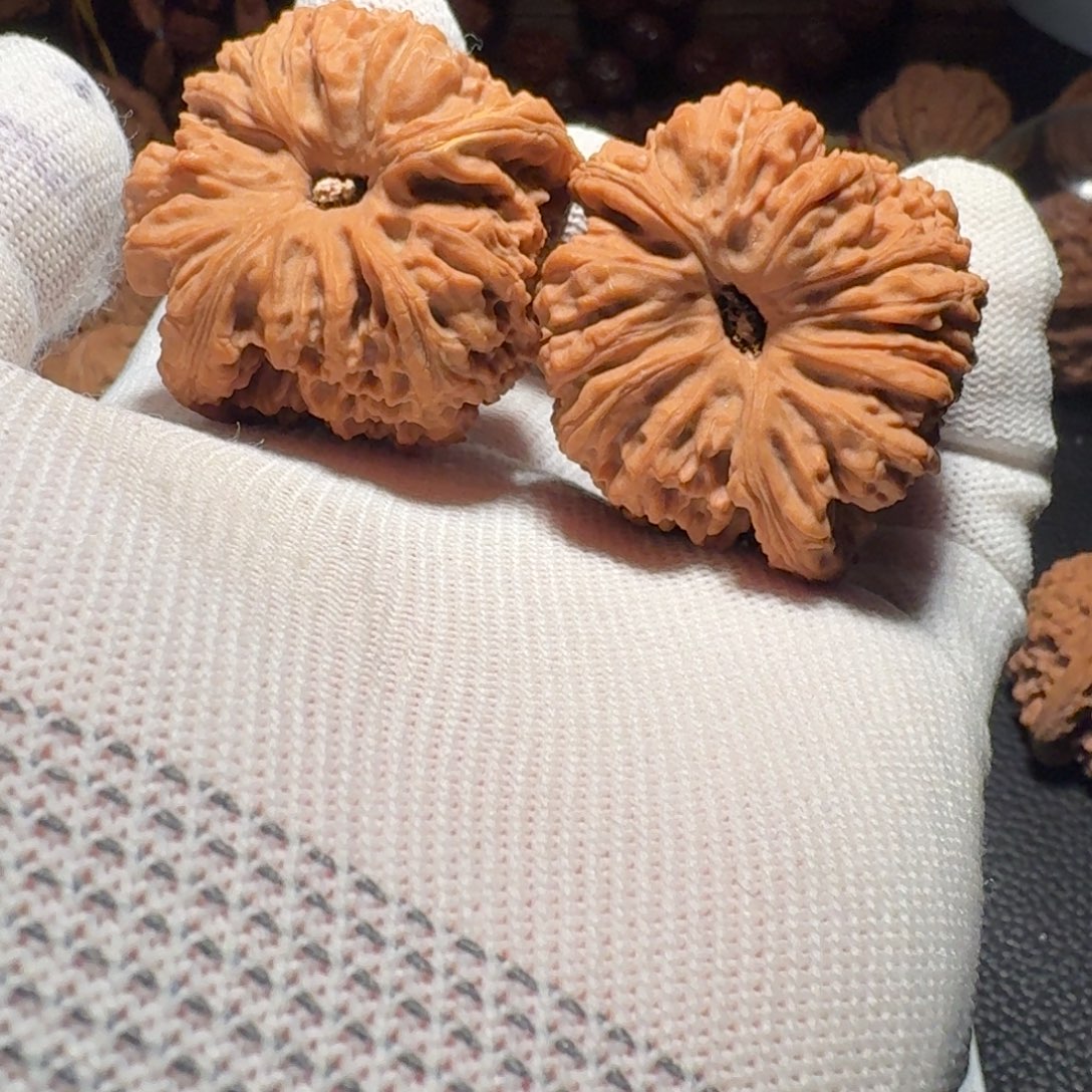 收***到文玩核桃吊坠有黄有黄