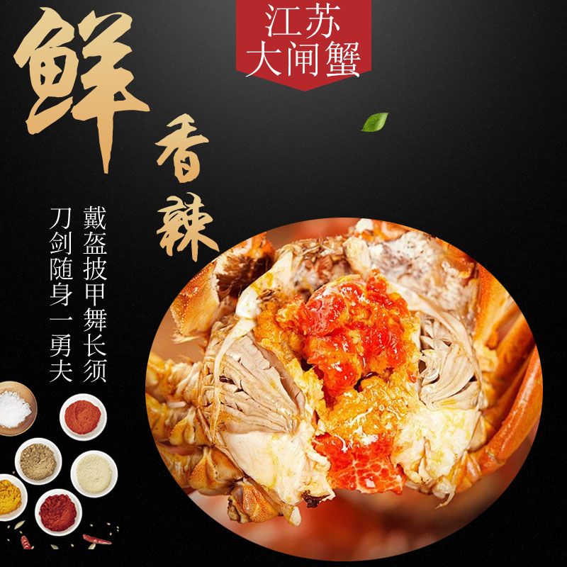 【活蟹】短腿大闸蟹全公蟹1只3两10只3斤江浙沪京东快递