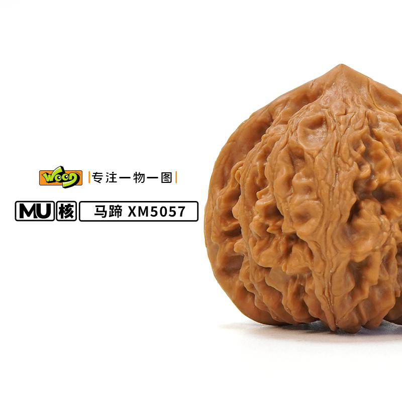 「遵化马蹄 XM5057」41*43*37/40..6g/精修打底/一物一图/文玩核桃