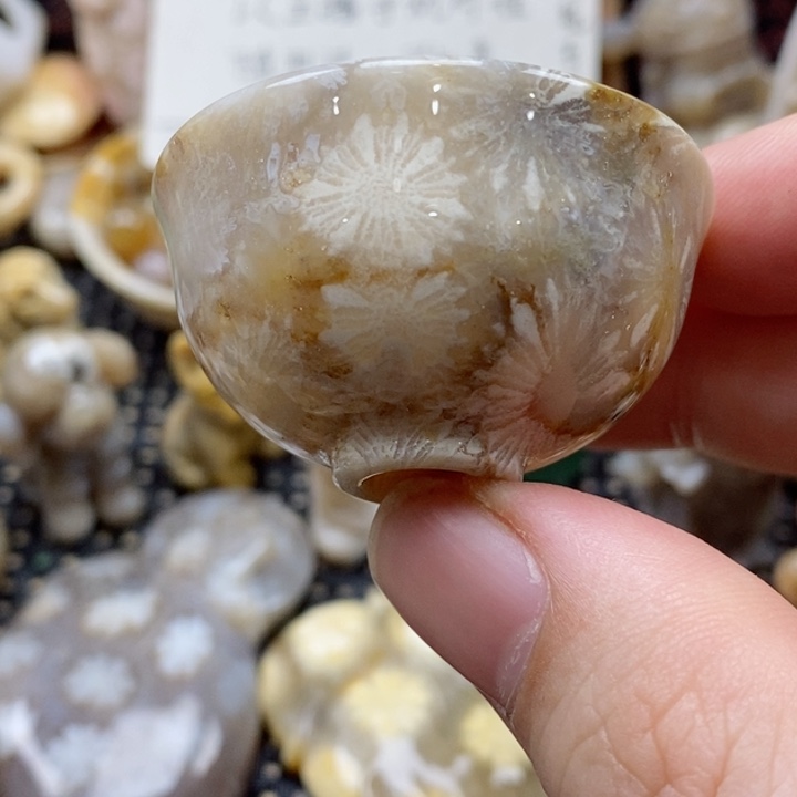 硅化珊瑚（珊瑚玉）颈饰未镶嵌