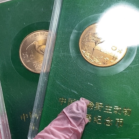 其他普通金属朱和丹大版绿色人行