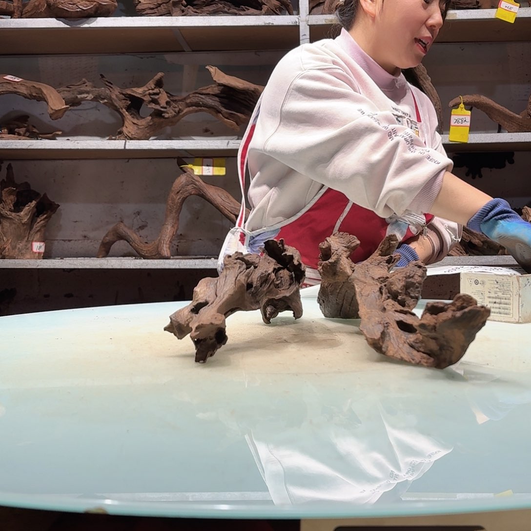 倍褚沉木不包损必褪色浮*。5608-2