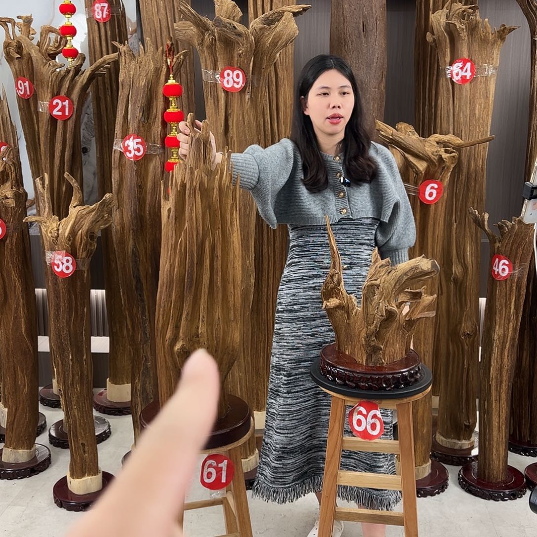 马***龙沉香碎屑沉香天然沉香