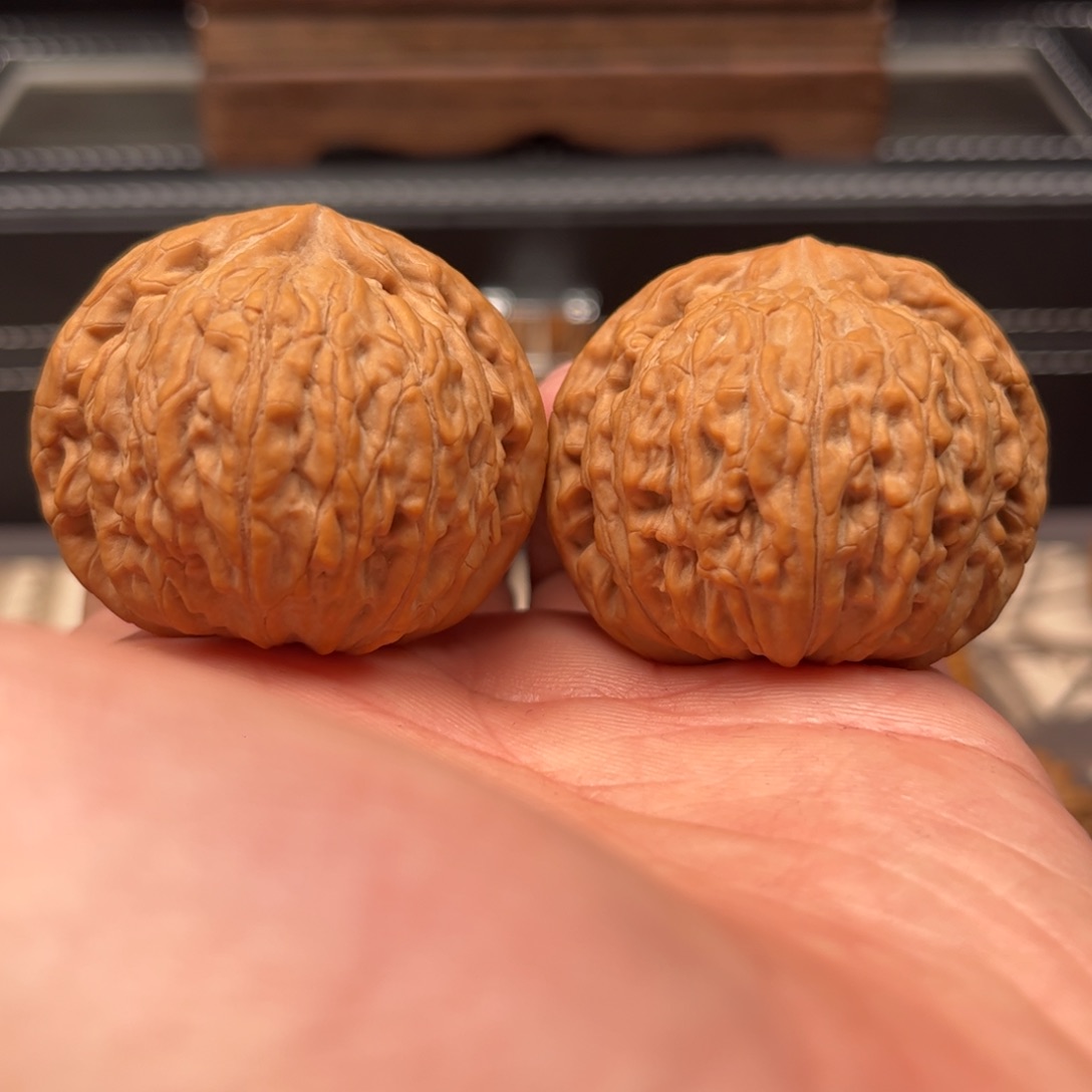 文玩核桃吊坠42蛟龙