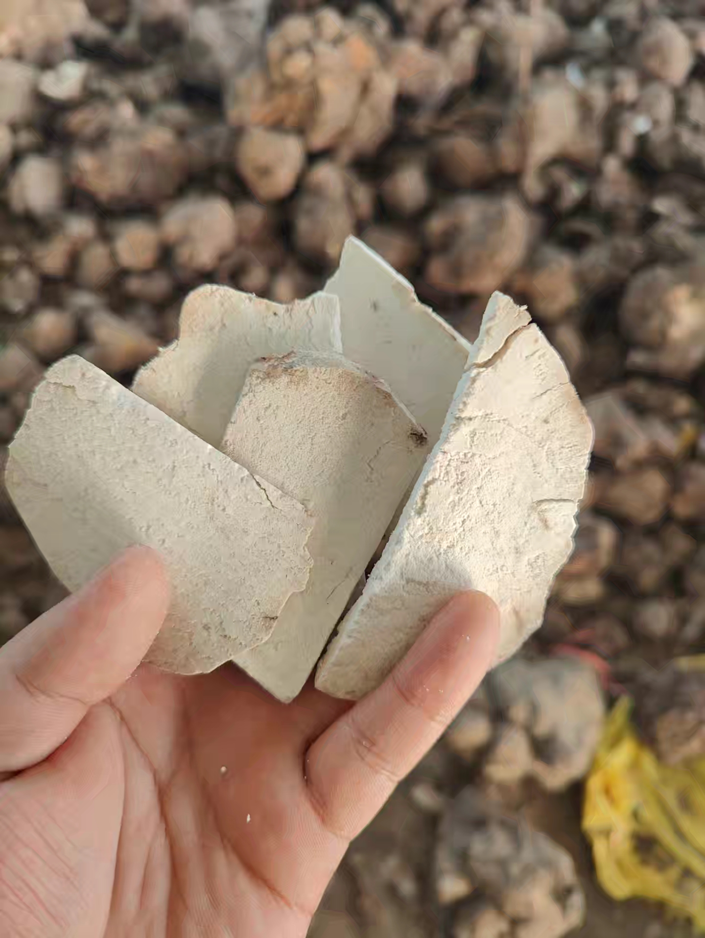 贵州高山茯苓小碎片/药食同源/生切生晒无熏硫/正宗茯苓