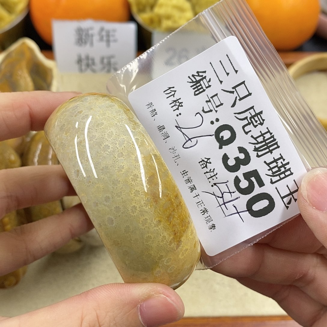 硅化珊瑚（珊瑚玉）1未镶嵌蔷*