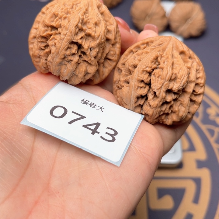 文玩核桃把件43大粗筋 0743