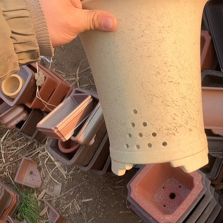 紫砂我们也有一个特别优秀