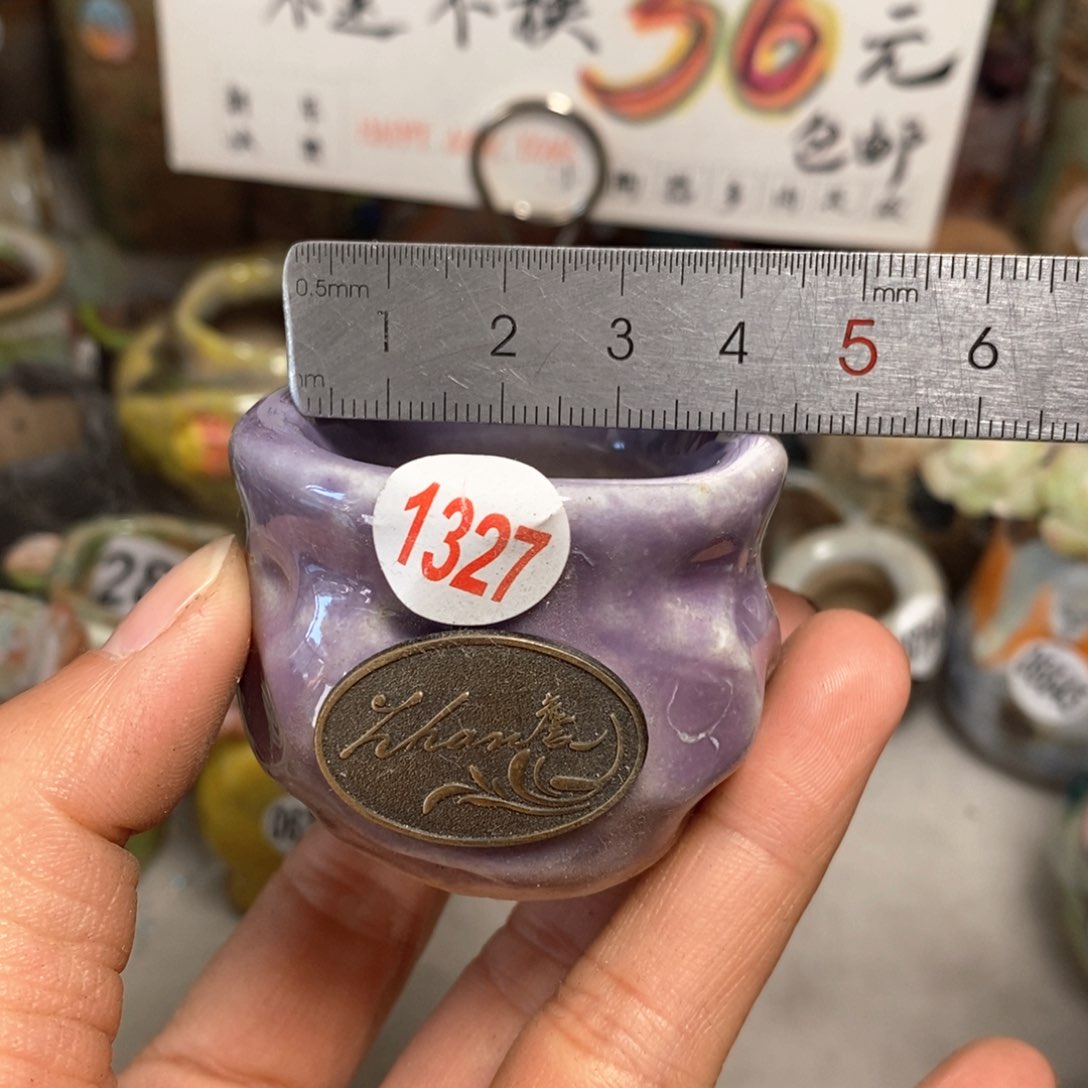 花盆拍5送一个小礼物