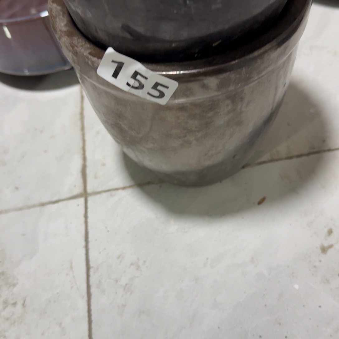 吨***吨茶盏老货一人份落脚之日开始