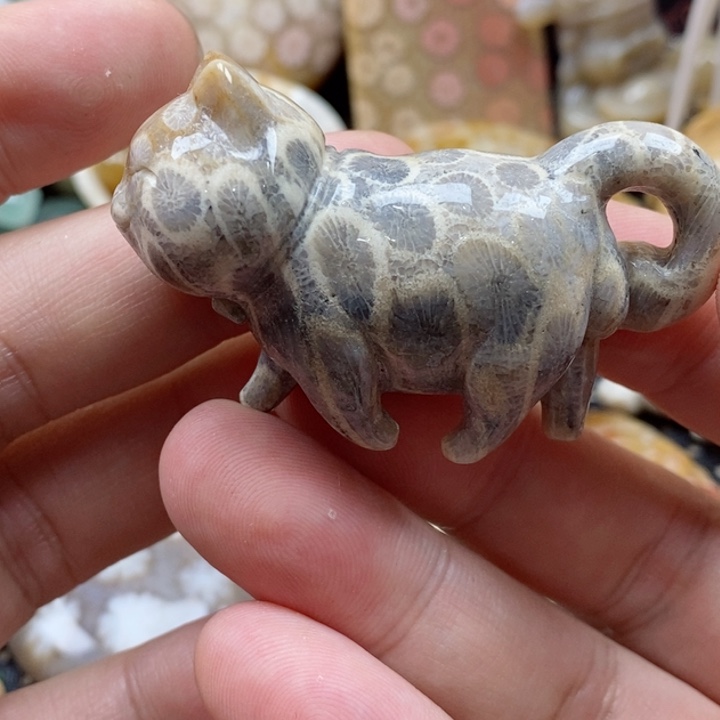 硅化珊瑚（珊瑚玉）颈饰未镶嵌