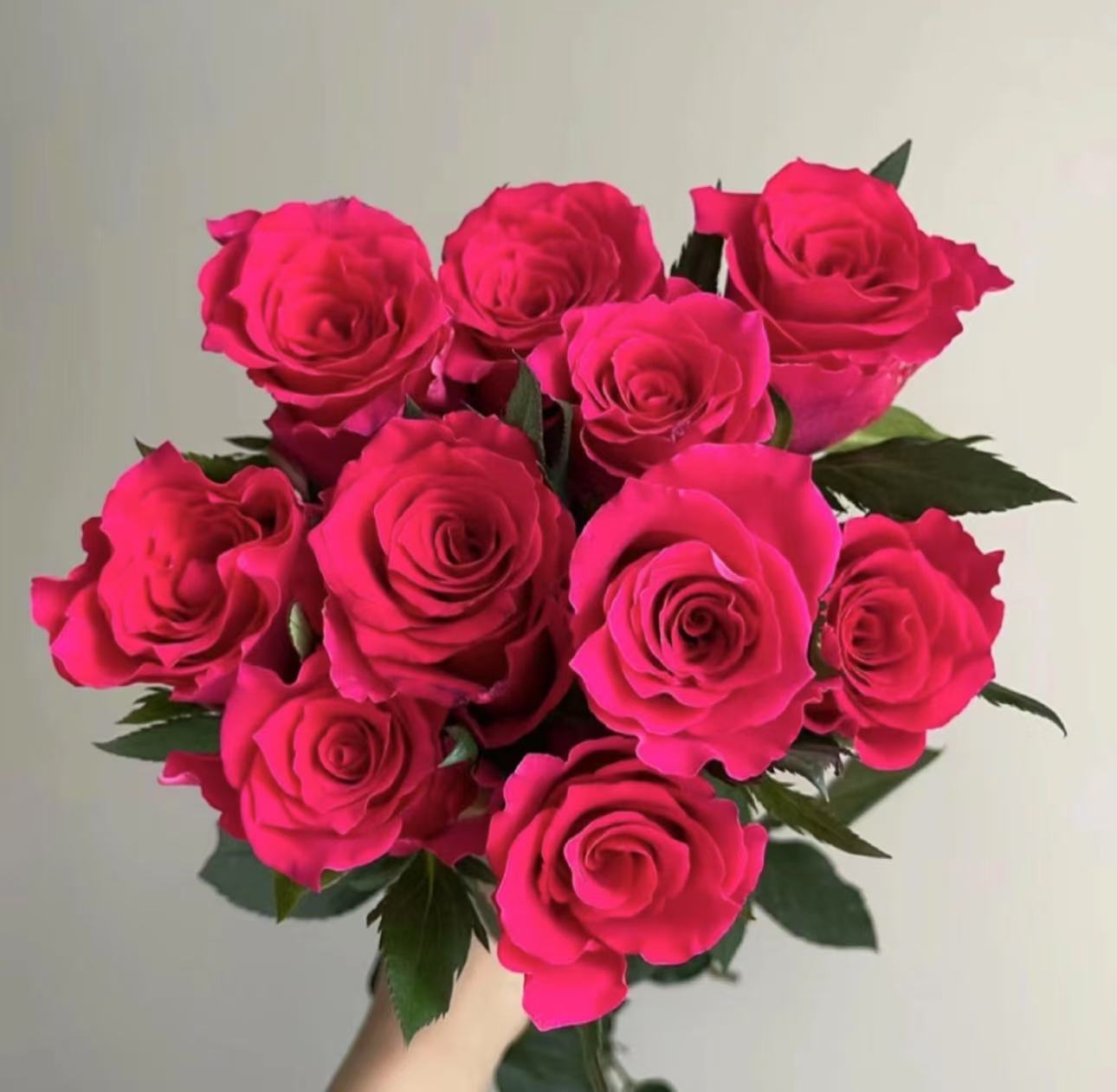 【高盛单头玫瑰】满两单升级顺丰/德邦+保鲜剂三单送花瓶