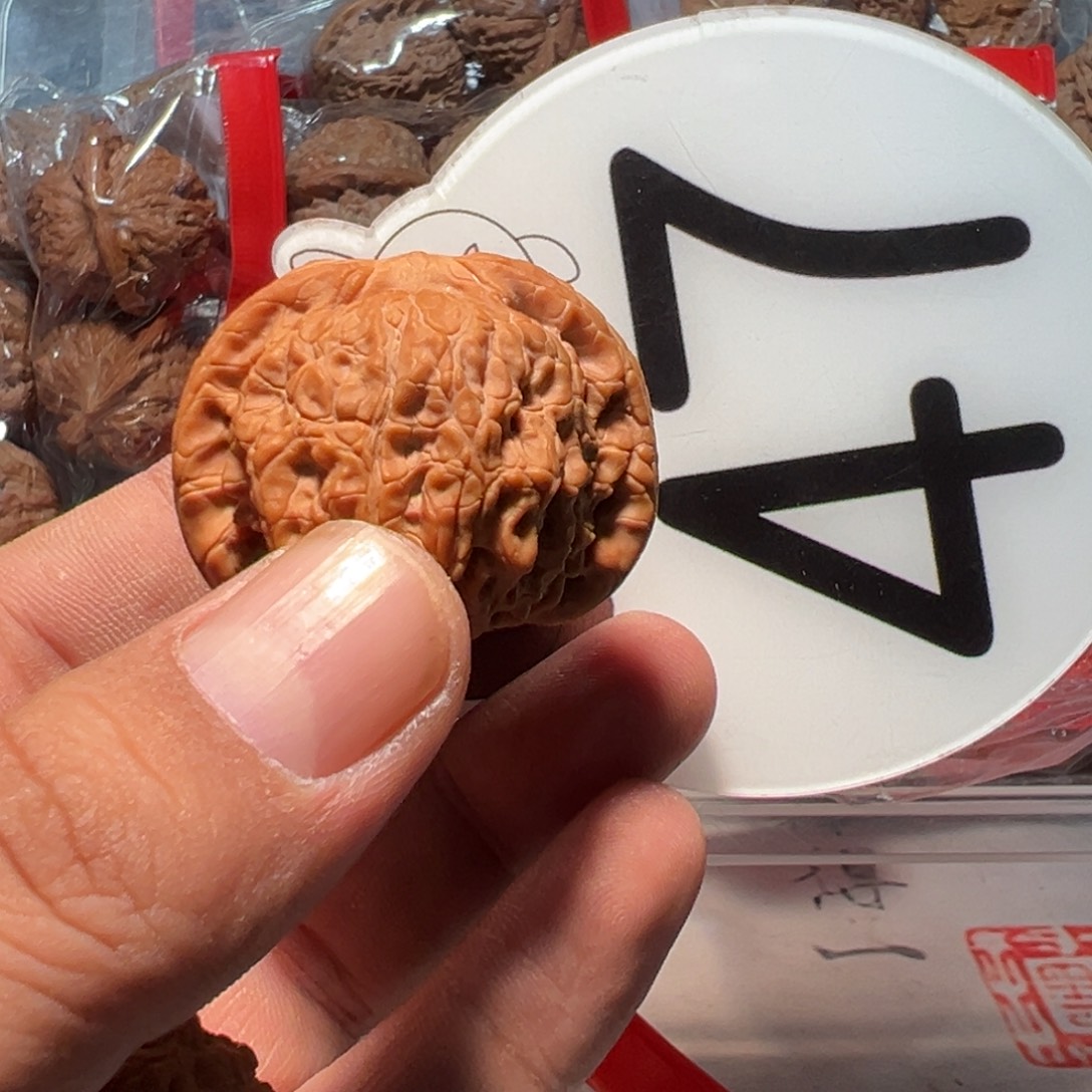 新***丶文玩核桃，白色47号