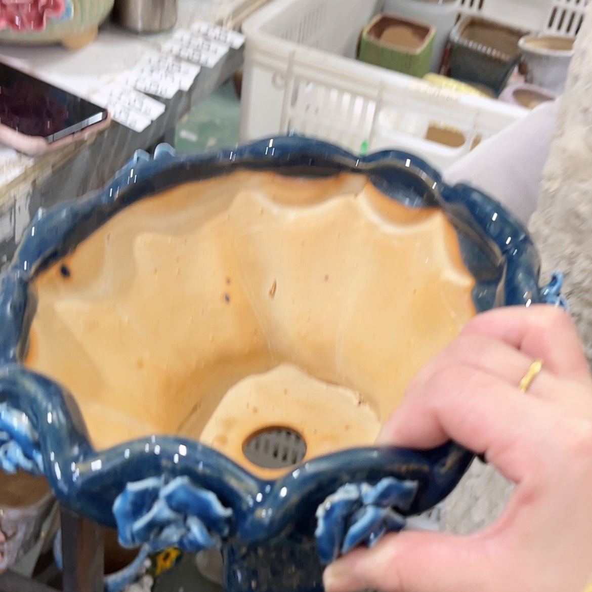 【闪购商品】红陶福利