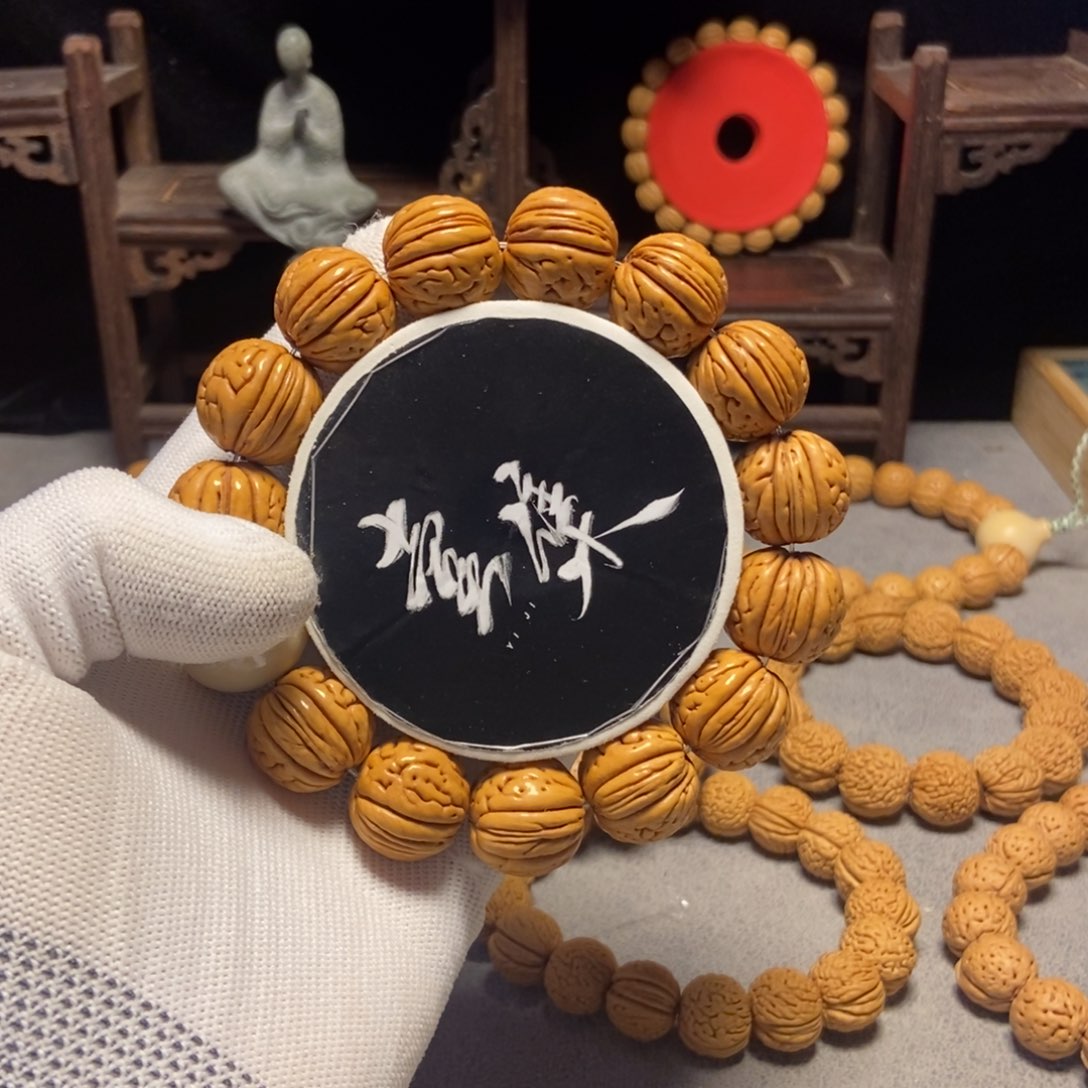 盘锦肌肉。肌肉鼻祖