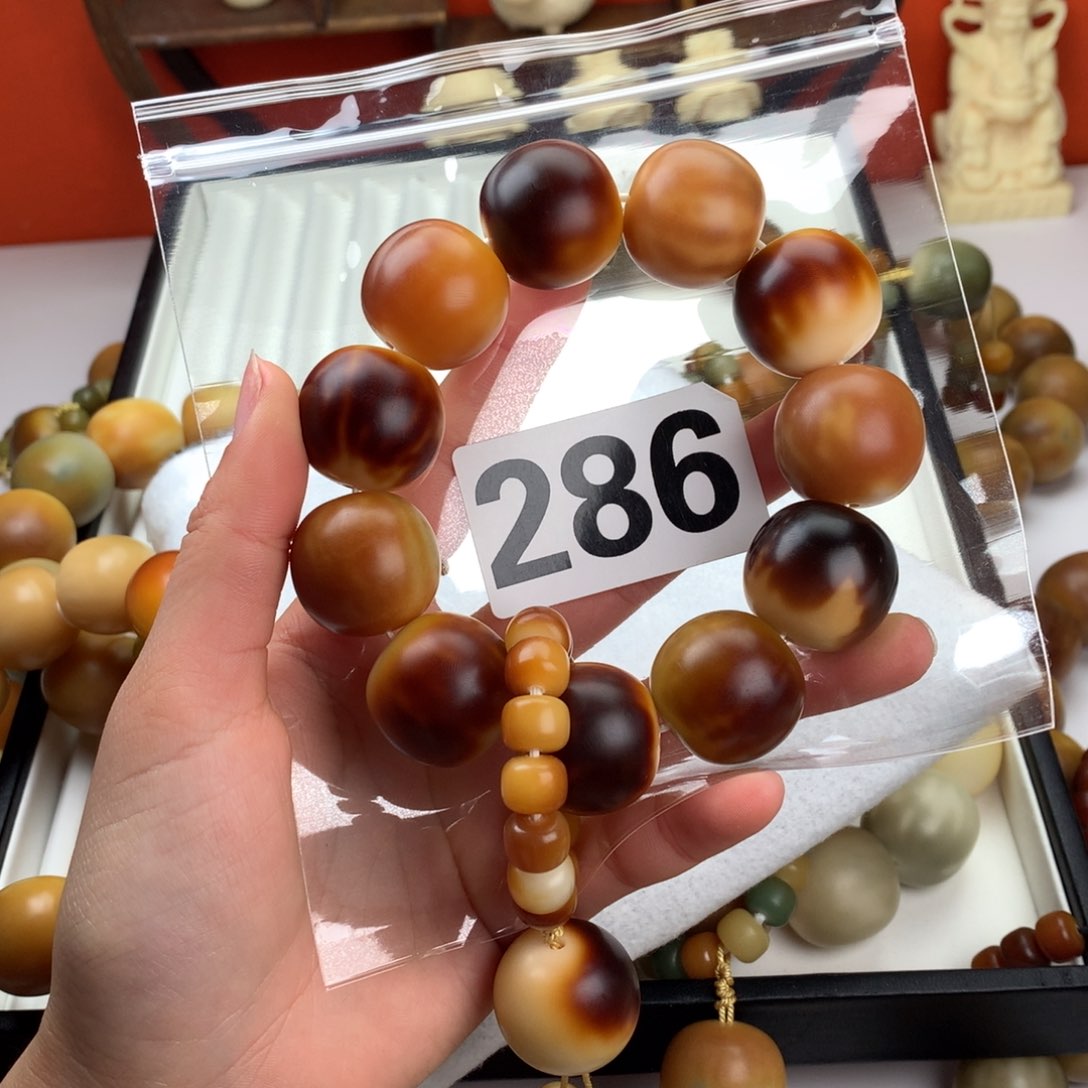 菩提根/象牙果吊坠X***X