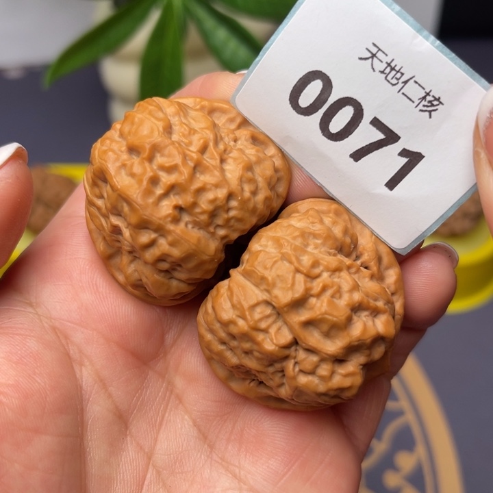 文玩核桃把件39蛤蟆头71