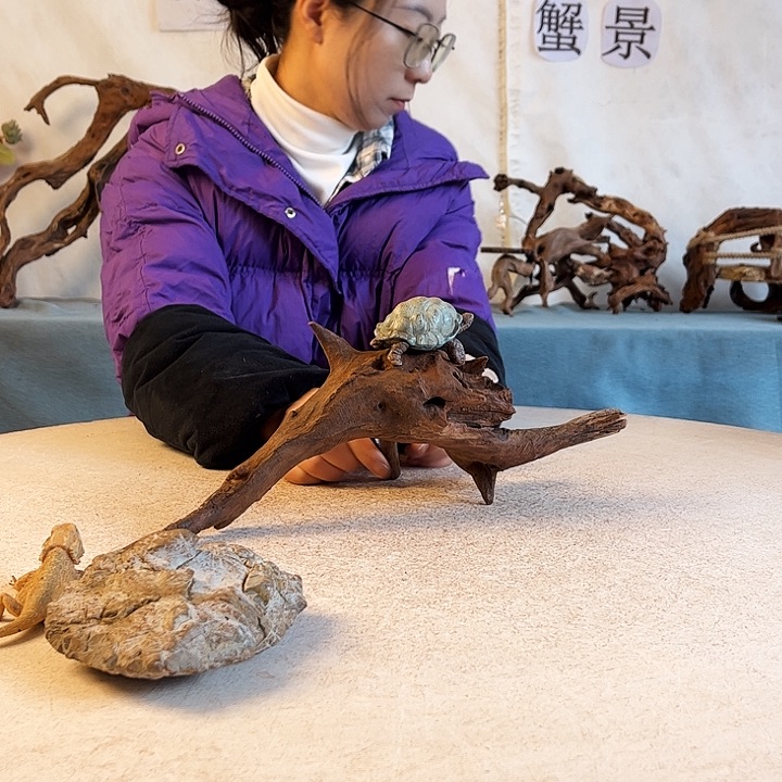 新年快乐沉木造景