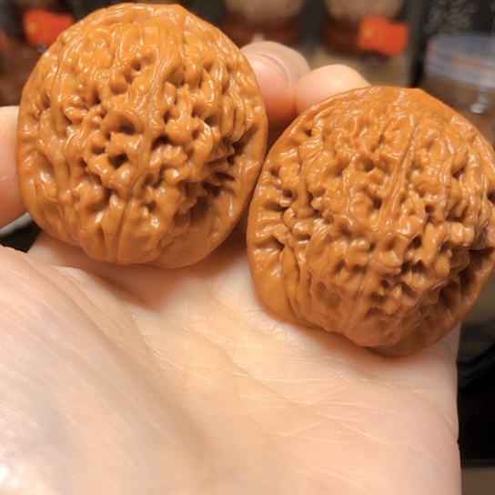 超级福利：原桩大莲花