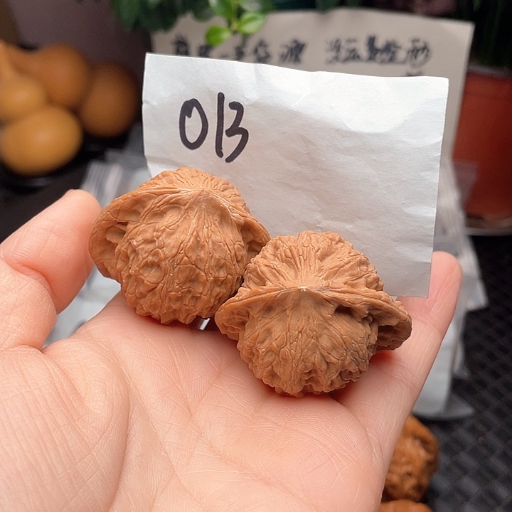 43尺寸白茬公子帽核桃