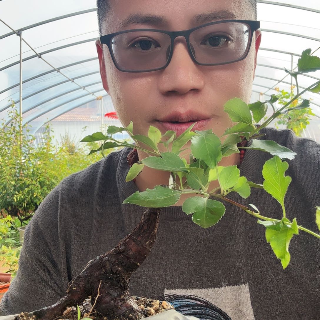 当前无花朵，栽培后可花朵可****?