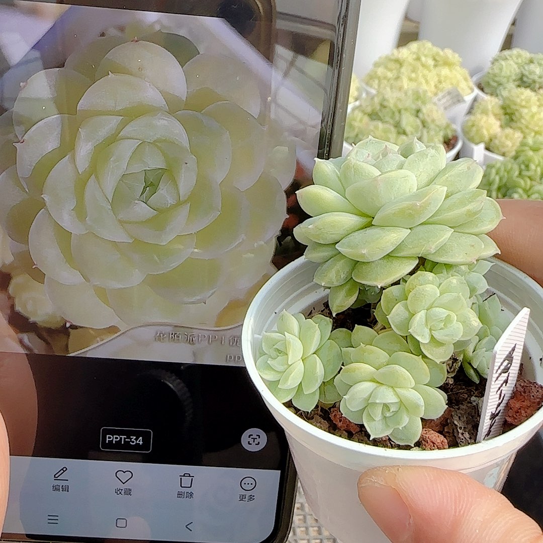 1028-101（ppt-34）优选