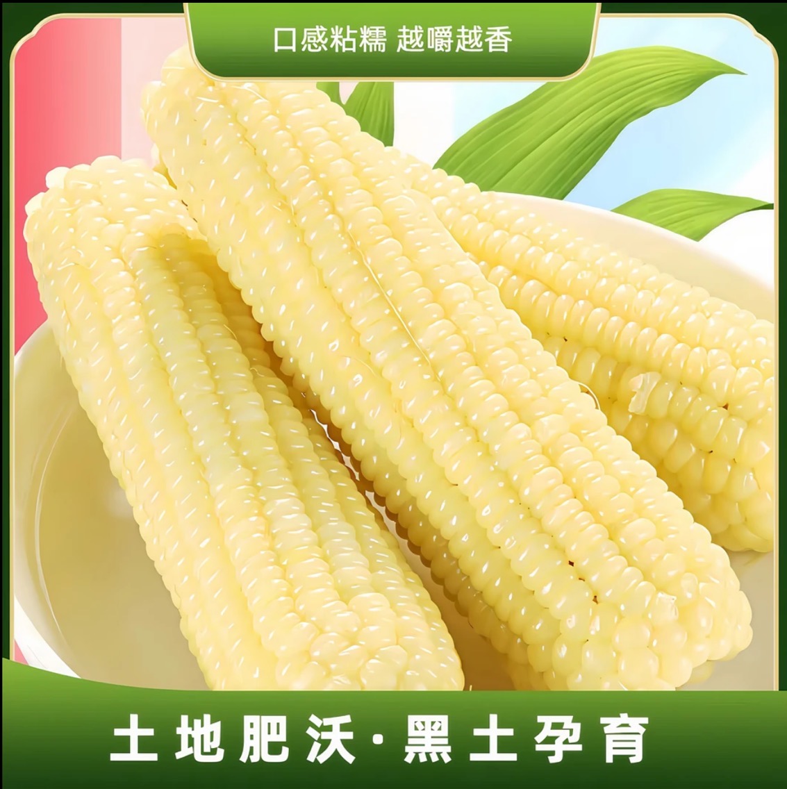 【白糯10根大果6斤】东北白糯玉米软粘香甜一大箱（试吃2根）