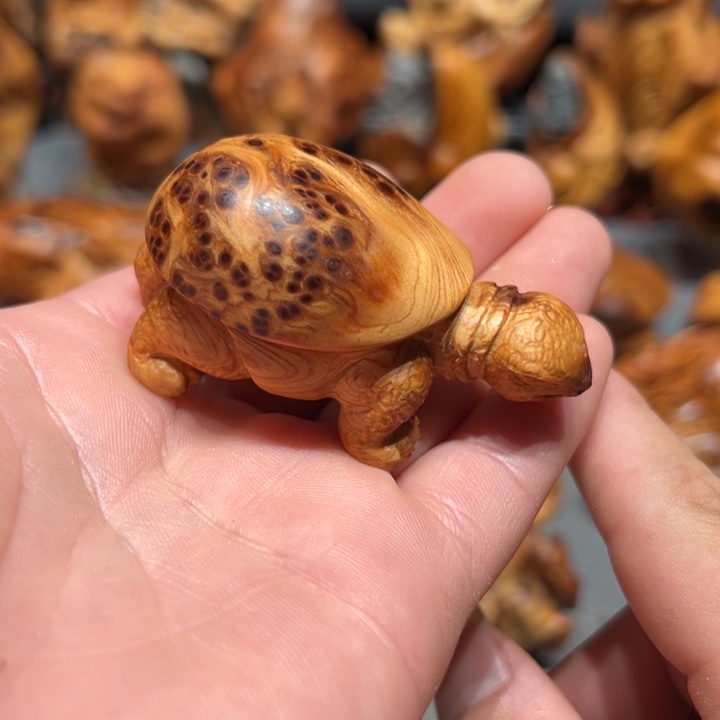 柏木（崖柏）点点关注