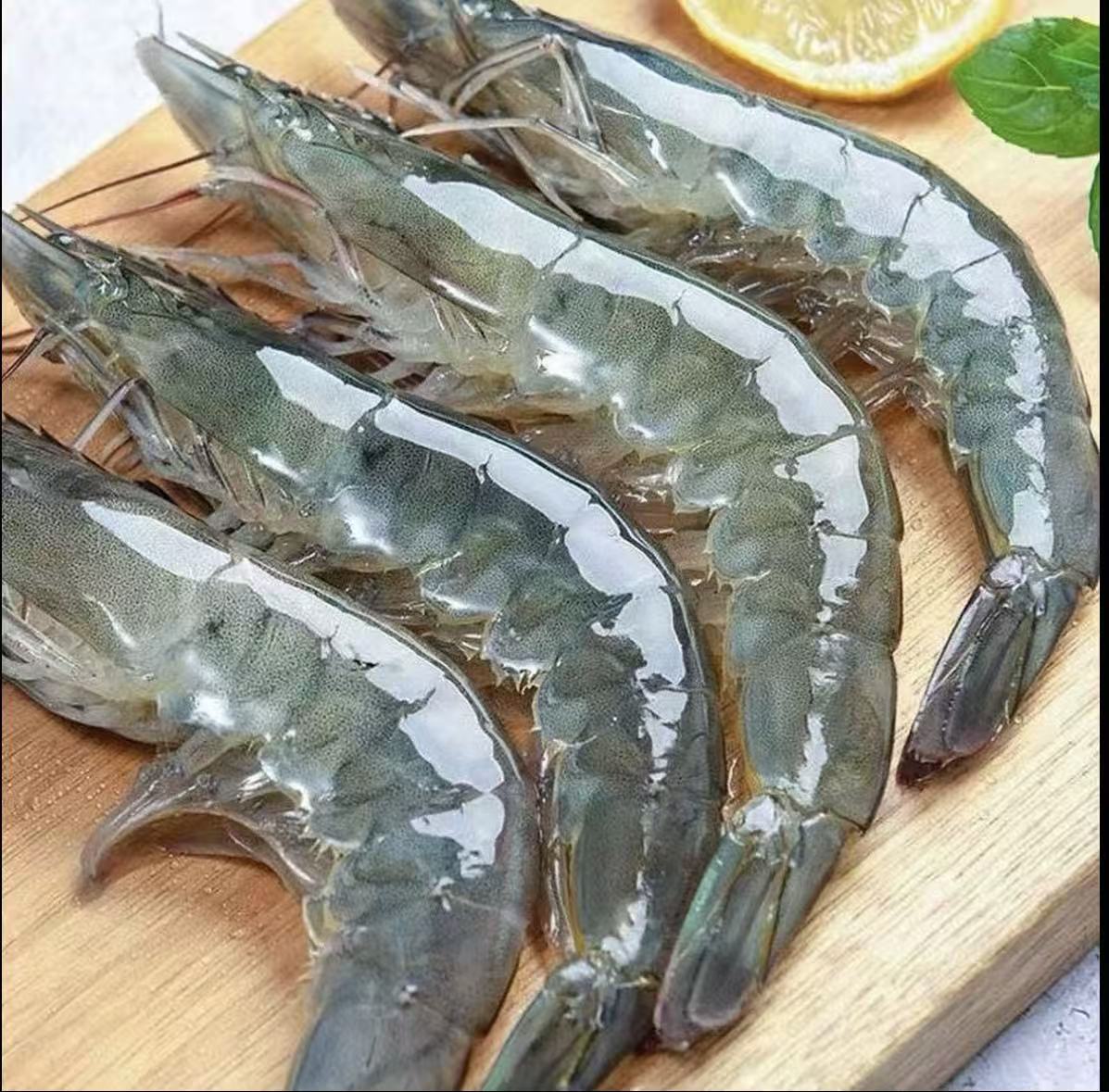 4斤/盒渔船上岸大号海洋虾2030规格单只15~18cm共46-52只精品海鲜