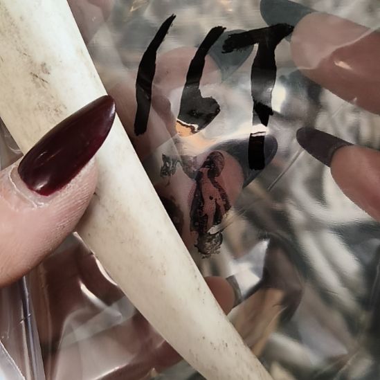 深***忆鹿角鹿角鹿角鹿角鹿角鹿角