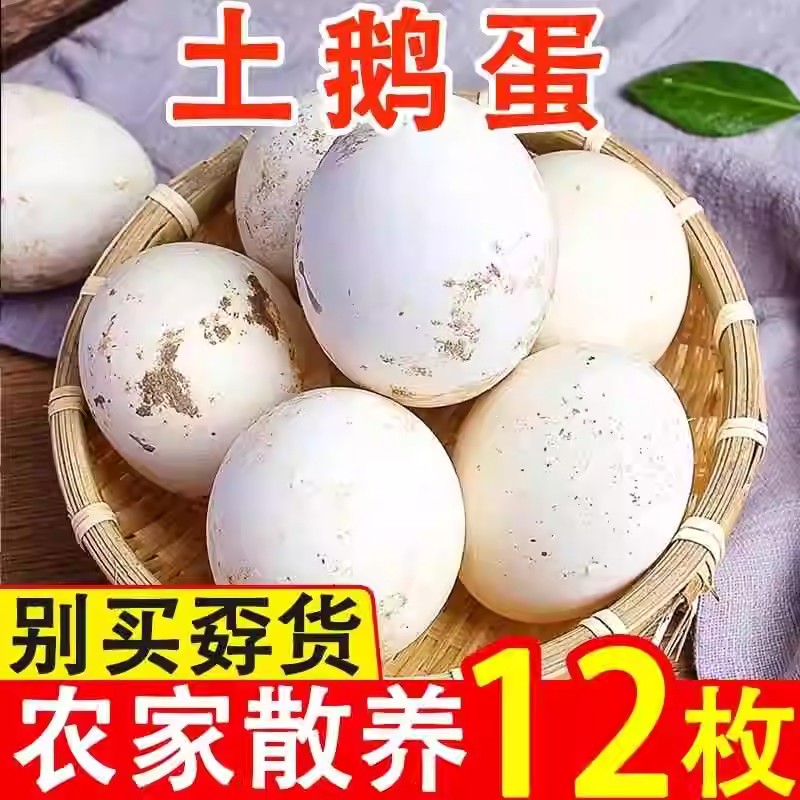 新鲜鹅蛋农家散养土鹅蛋正宗特产12枚健康生鹅蛋孕妇宝宝食材