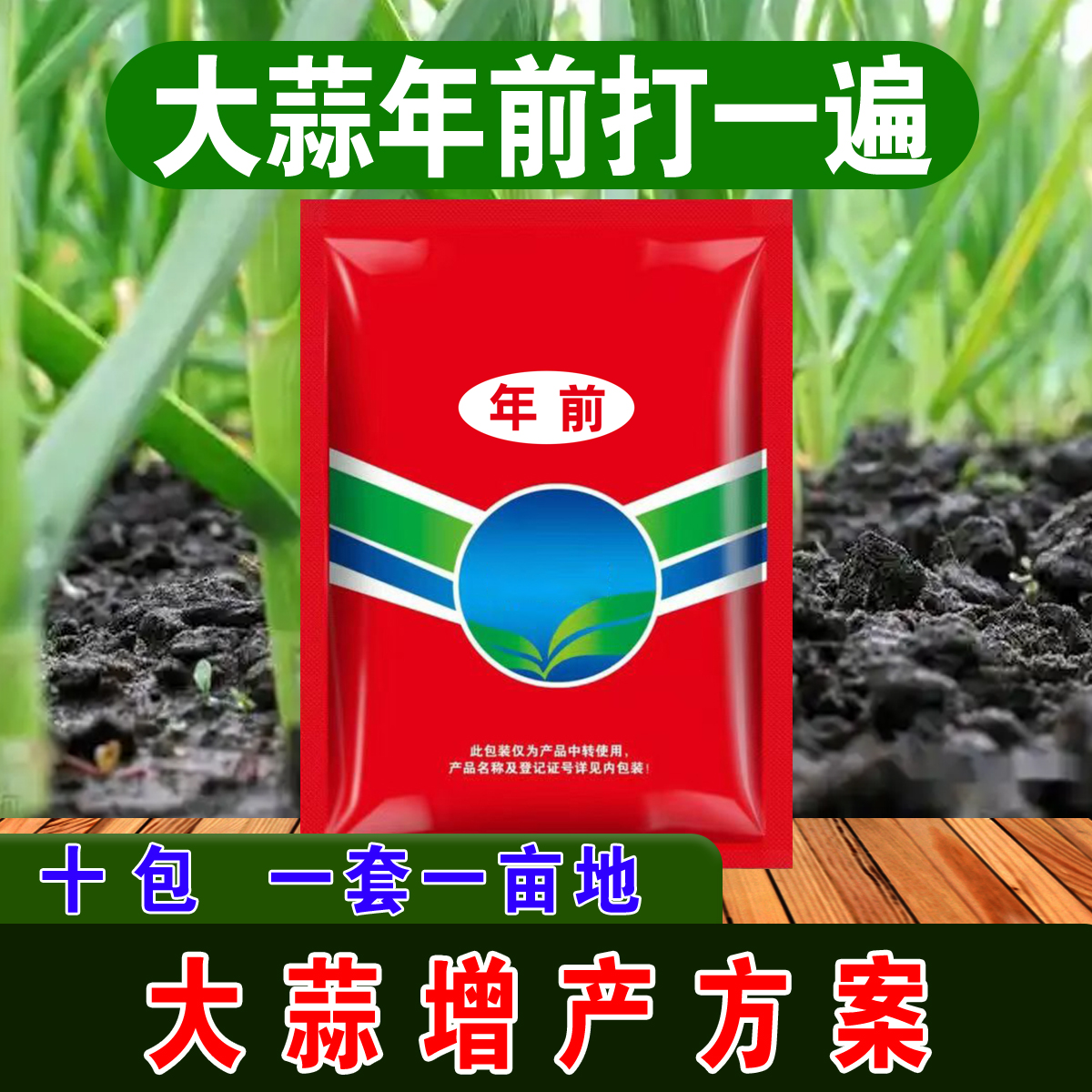 【三农小王】大蒜年前第一遍增产方案