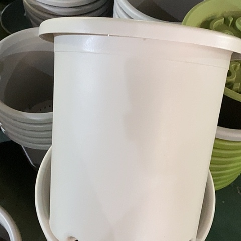 树脂四季7号微瑕灰白无托6个