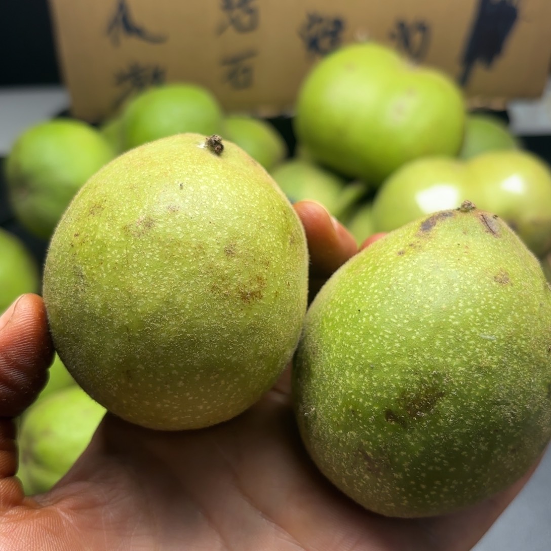 文玩核桃吊坠大沽石10个、青皮果不退不换