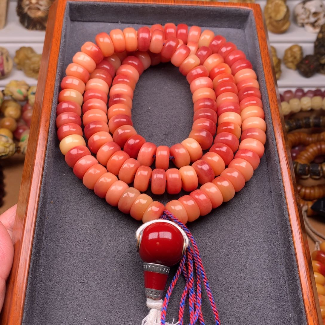 驼骨其他天天都在盘  12