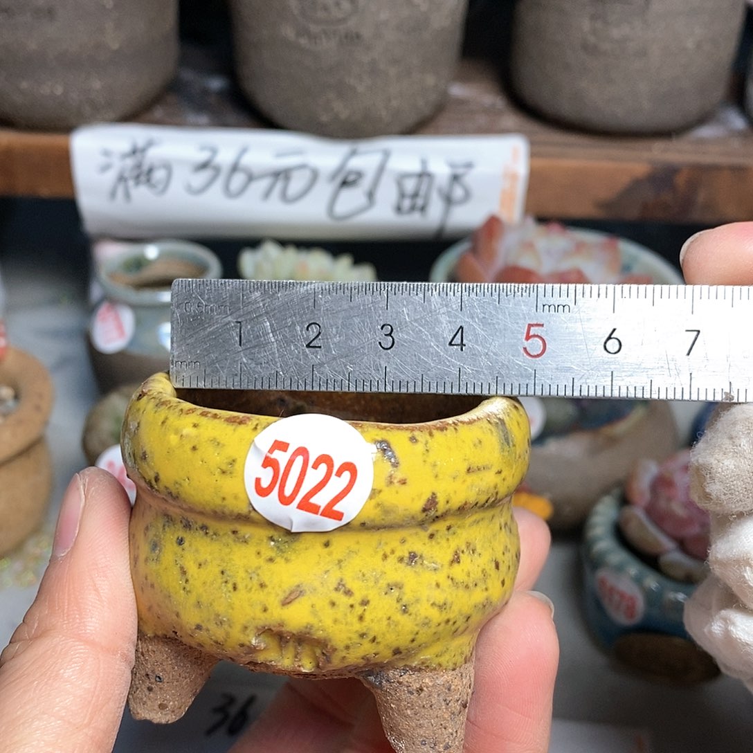 红陶拍5送一个小