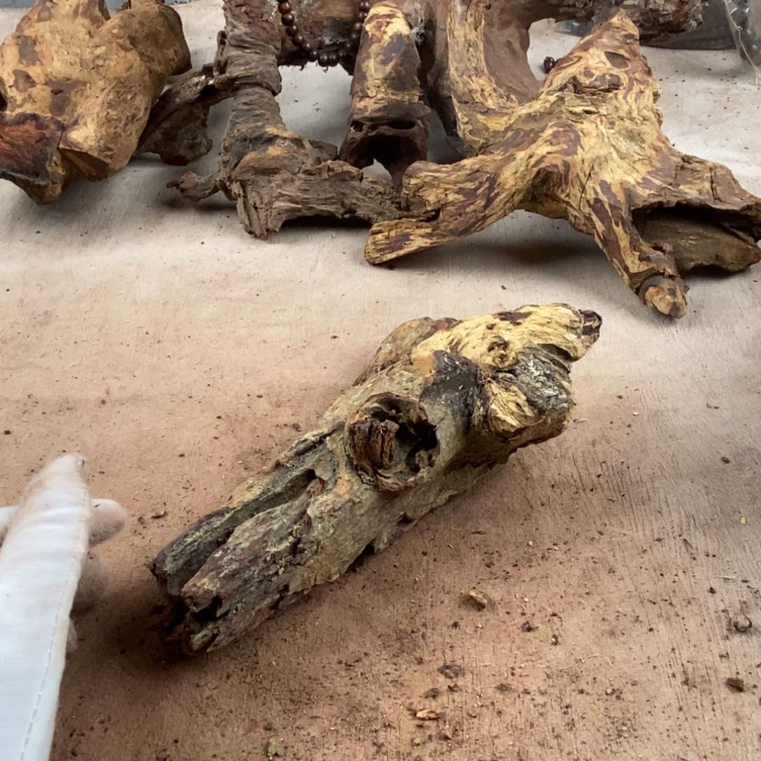 八***0黄花梨/降香黄檀降香黄檀黄花梨